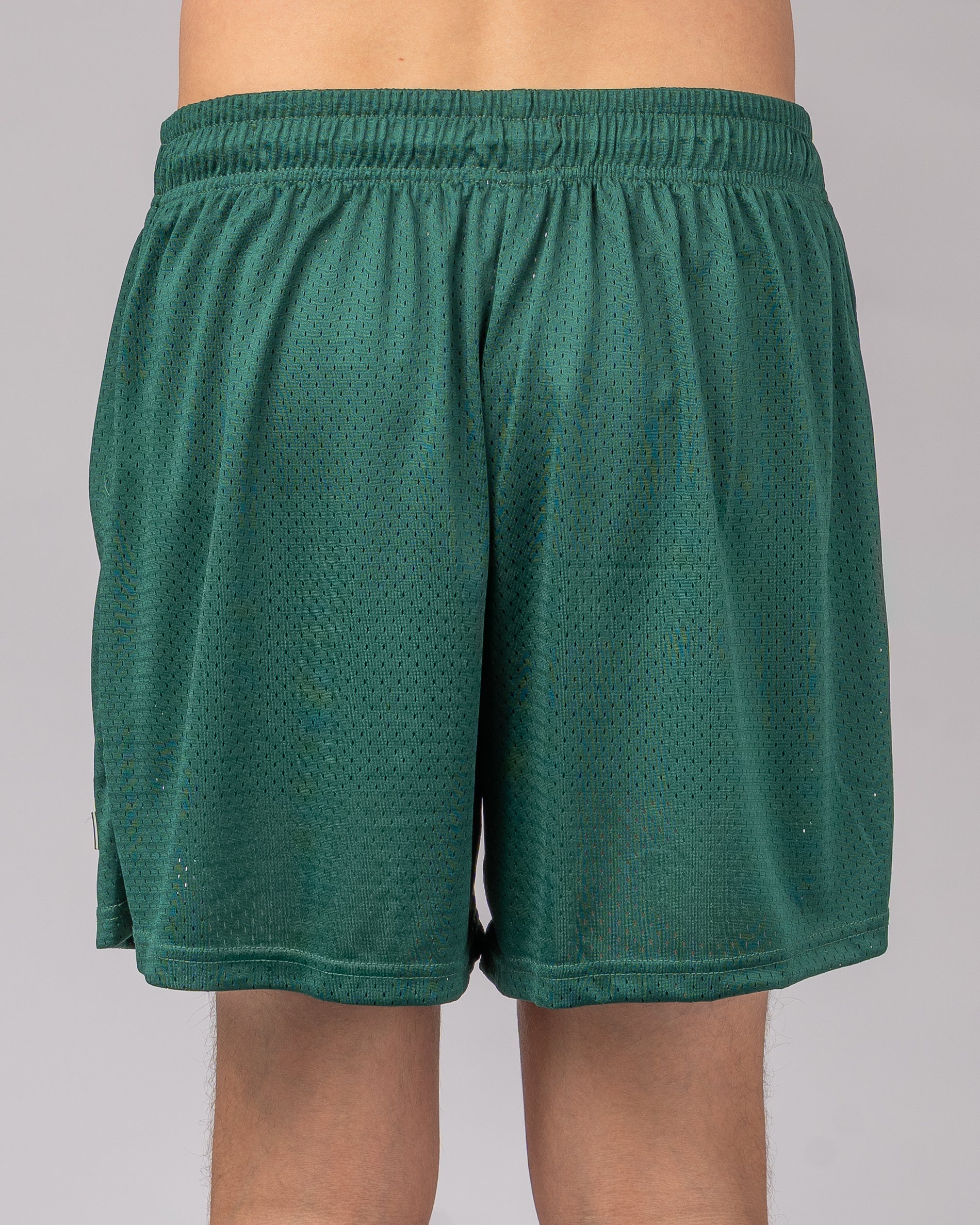 15" Palmer Short - Green - Image 2