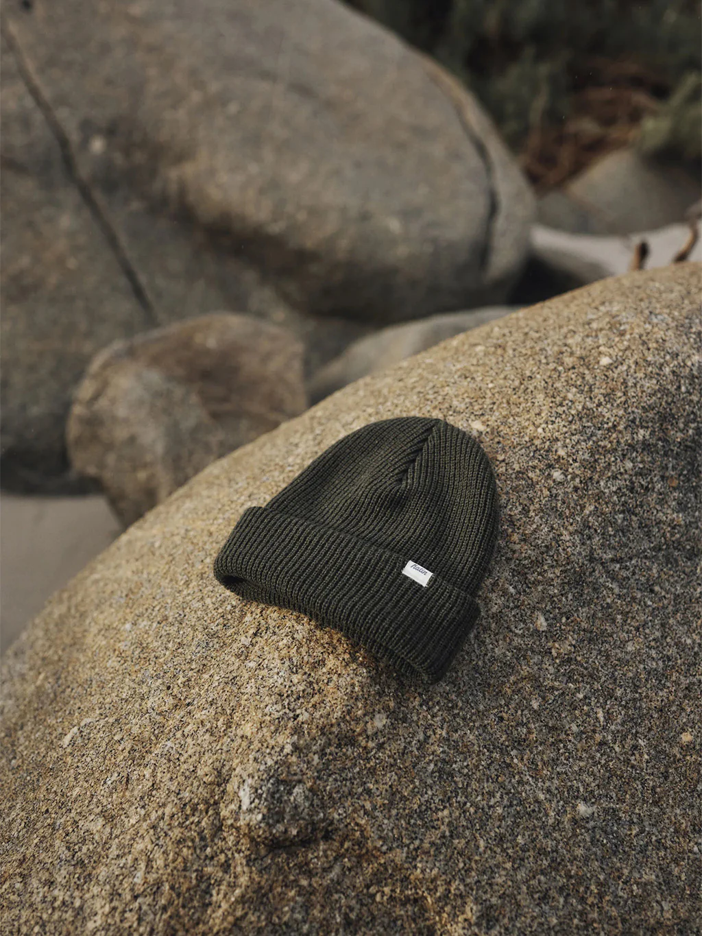 Basic Beanie