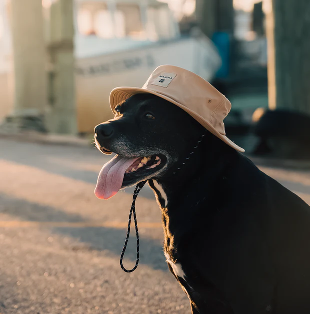 Bobby Bucket Hat - 2023 - Image 5