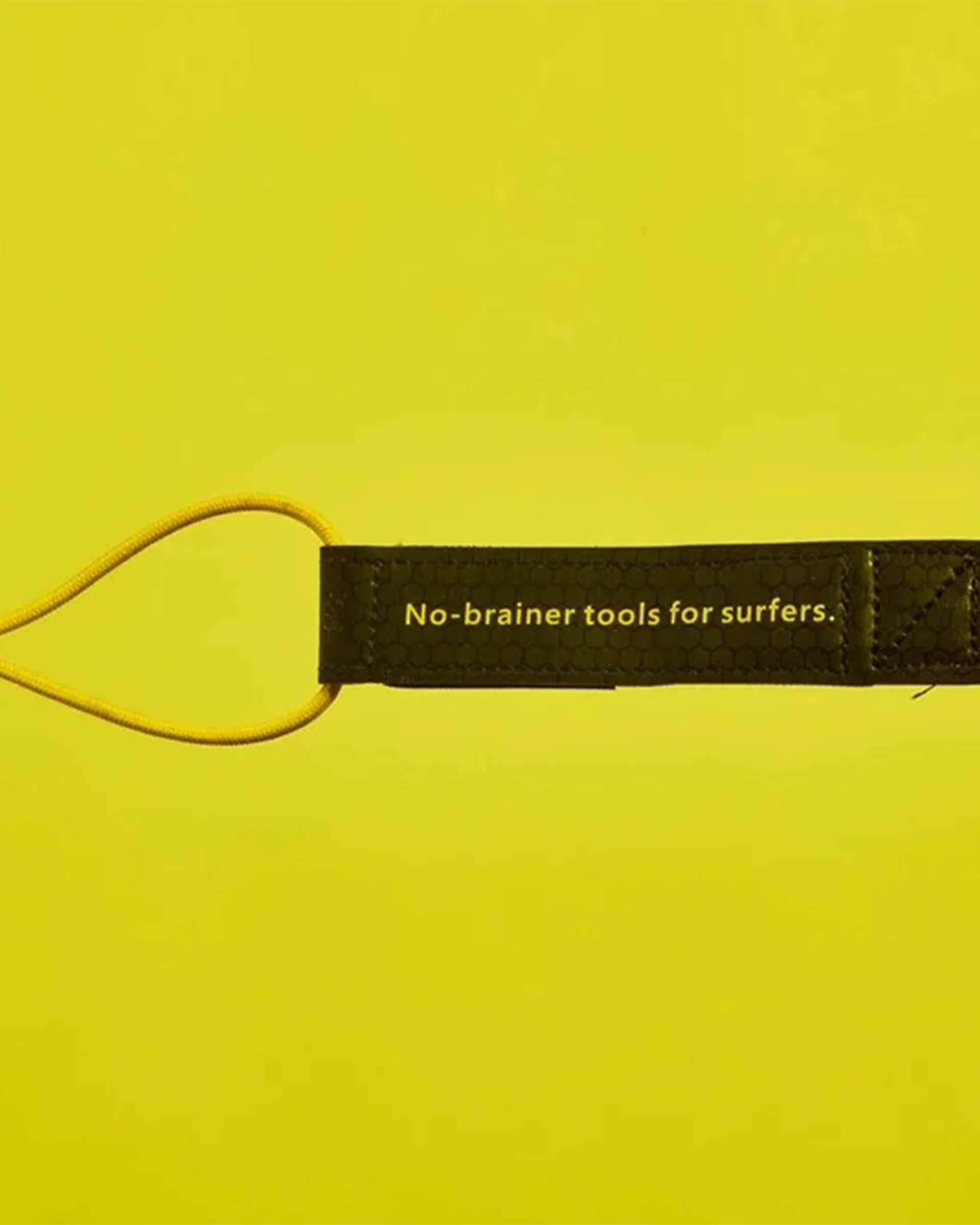 Leash Collection - Image 3