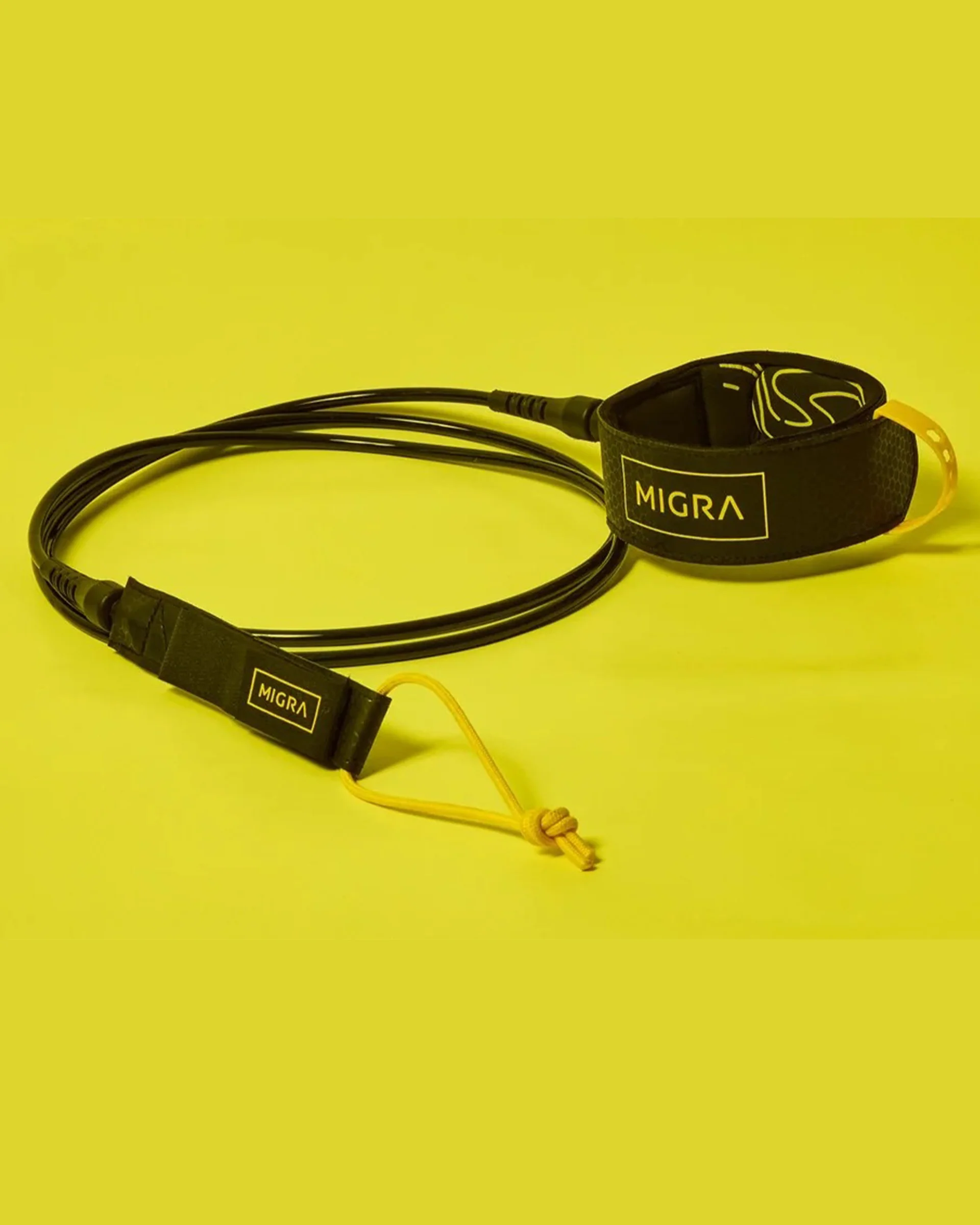 Leash Collection - Image 5