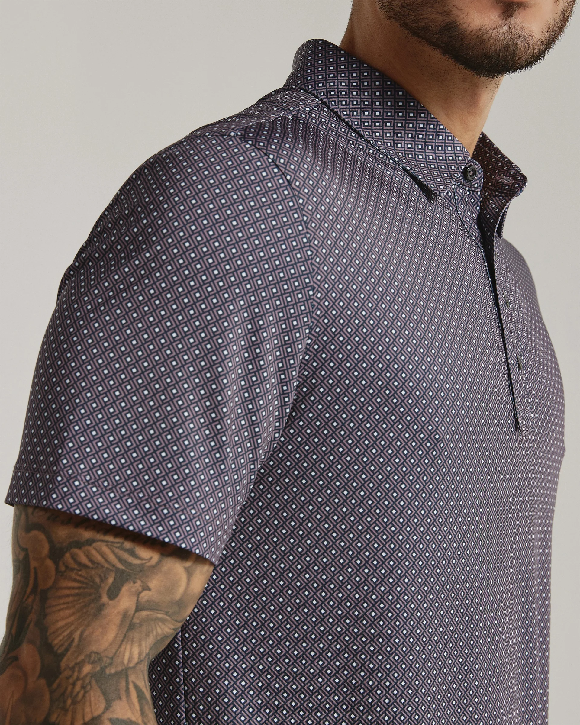 Pierson Polo - Image 2