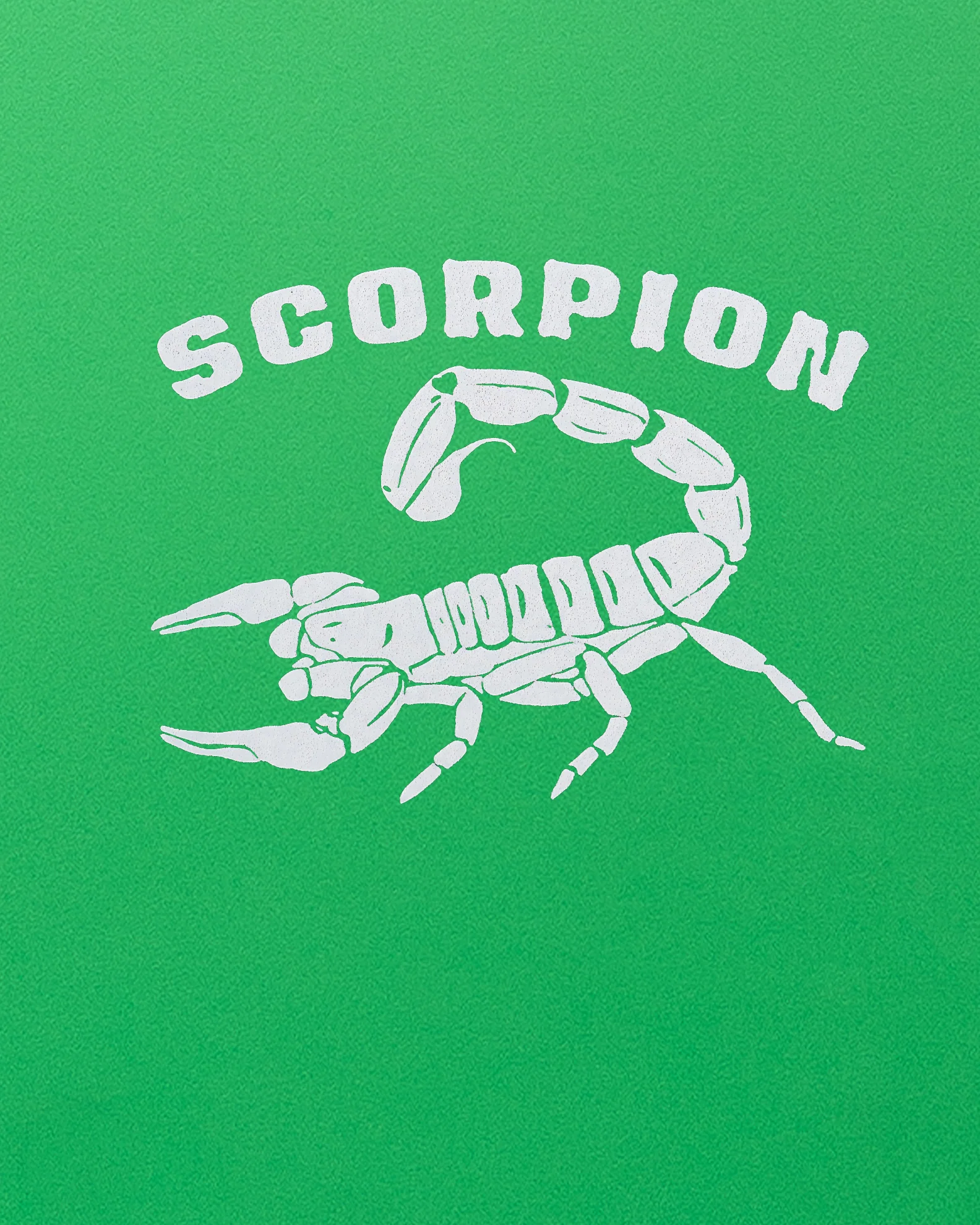 SCORPION 8'0 - Green/White - Image 3