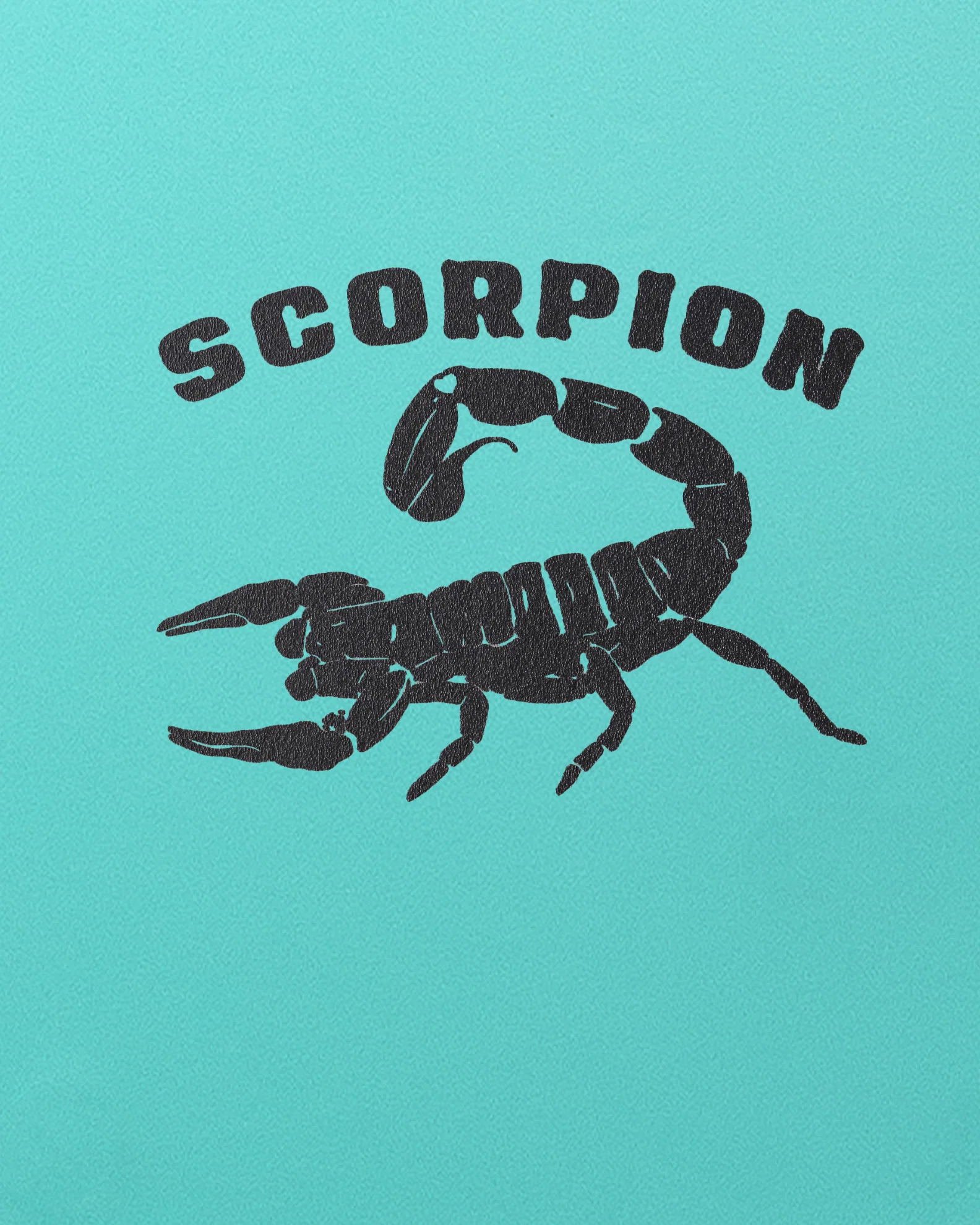 SCORPION 8'0 - Teal/Blue - Image 3