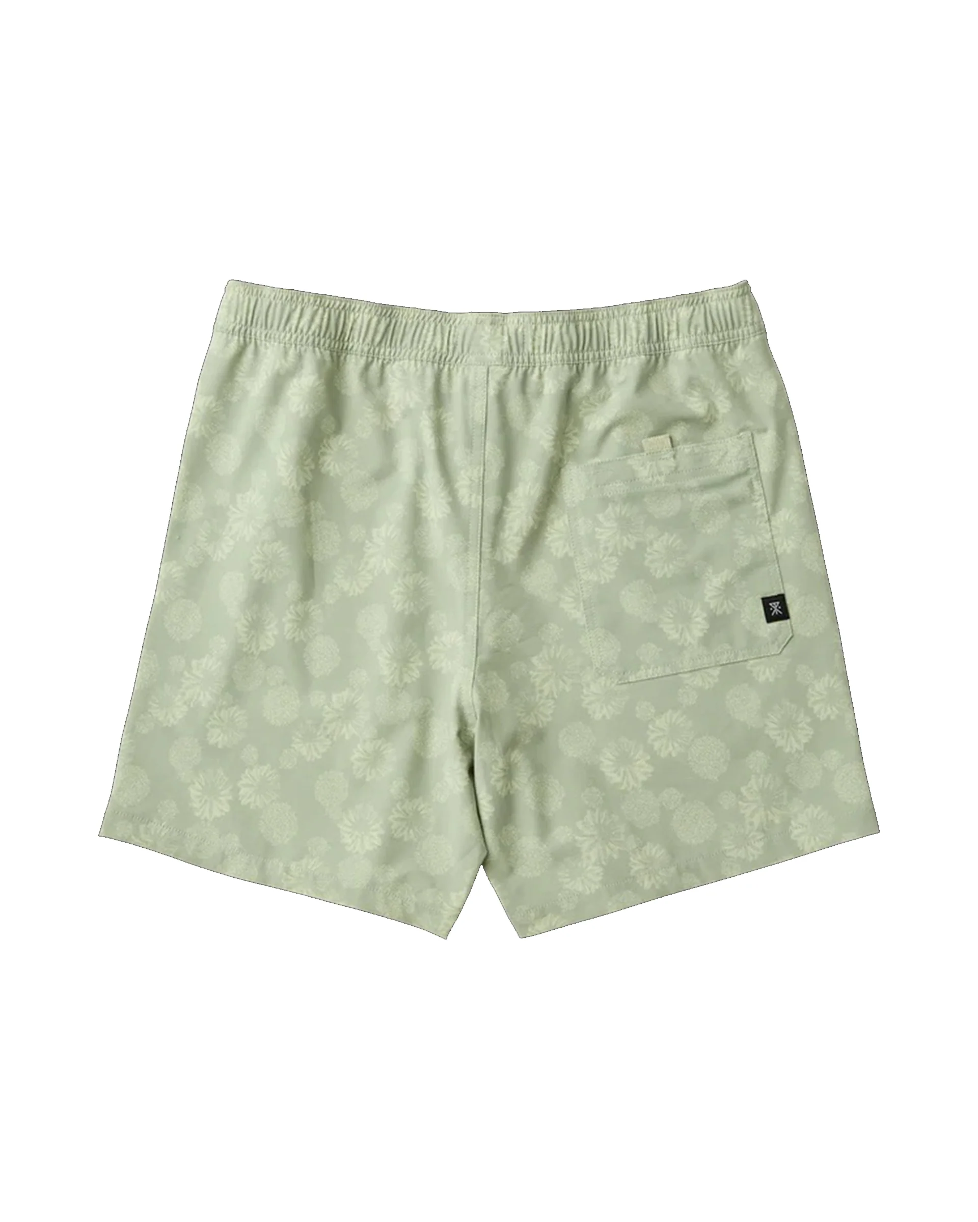 Shorey 16" Trunks - Image 11