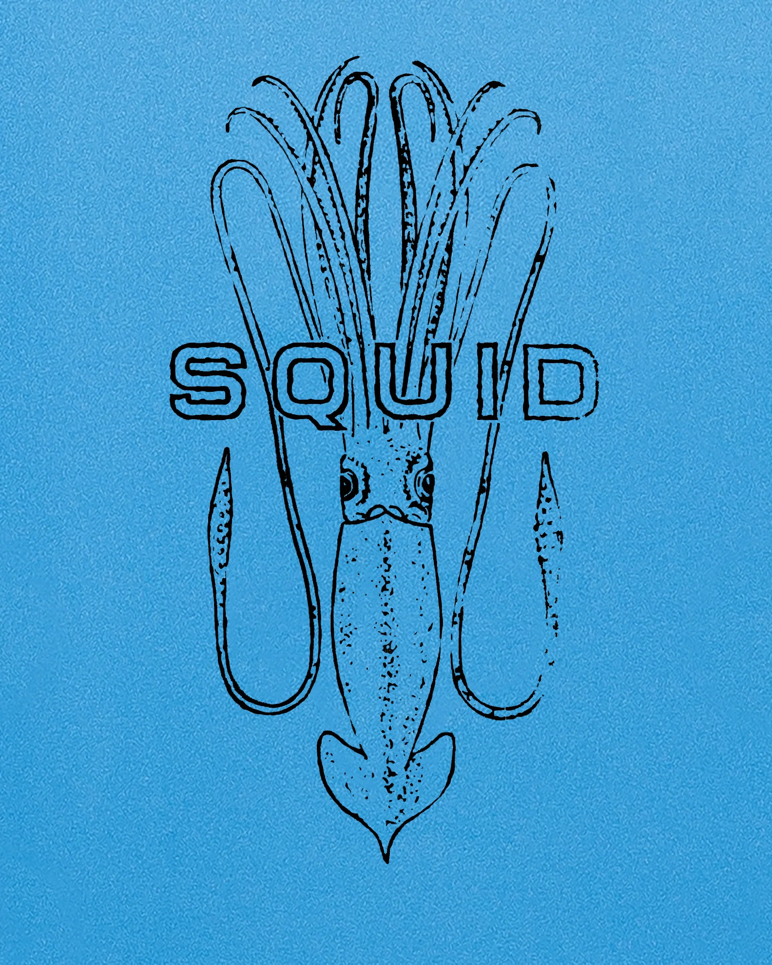 SQUID 6'0 - Blue/White - Image 3