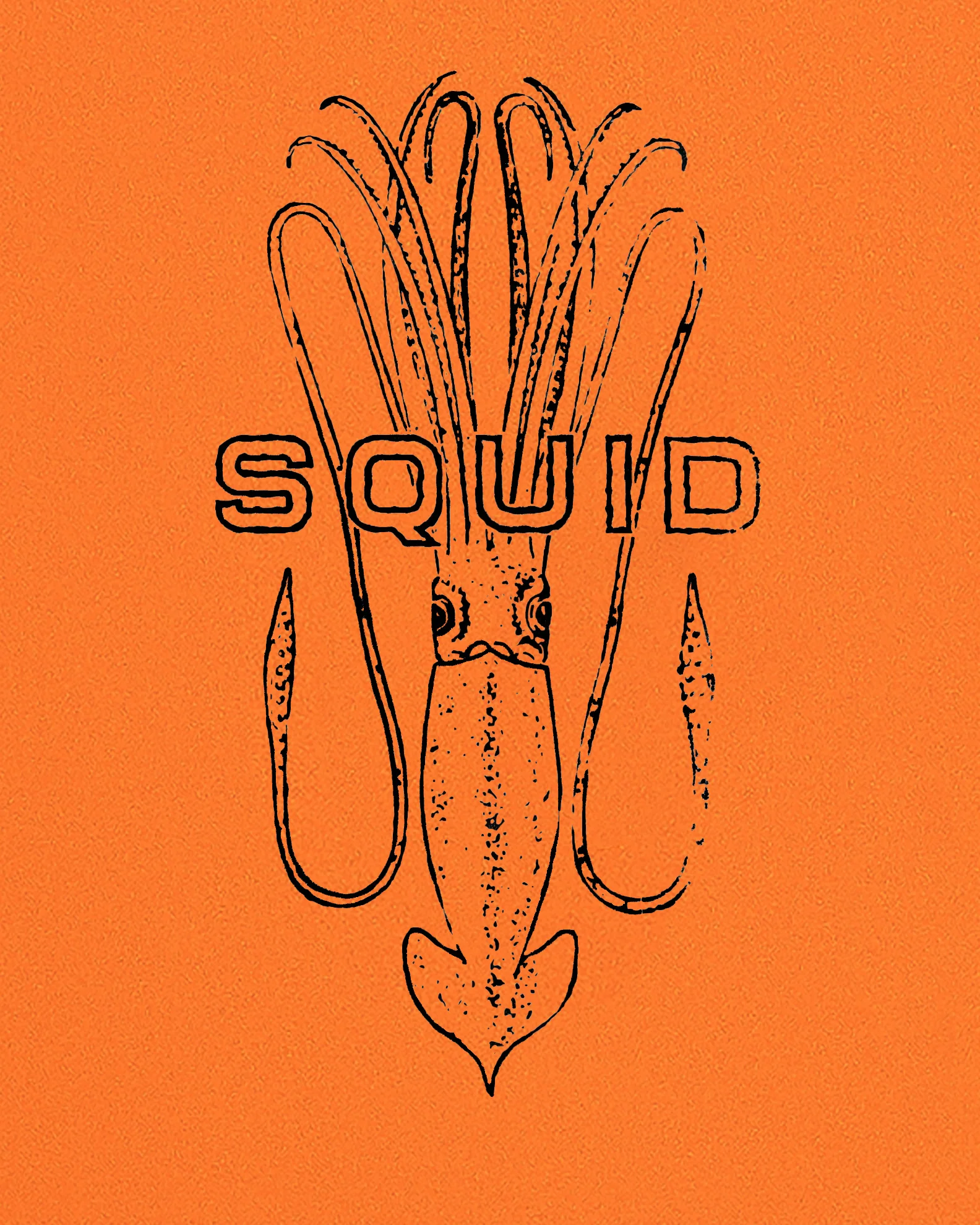SQUID 6'0 - Orange/Blue - Image 3