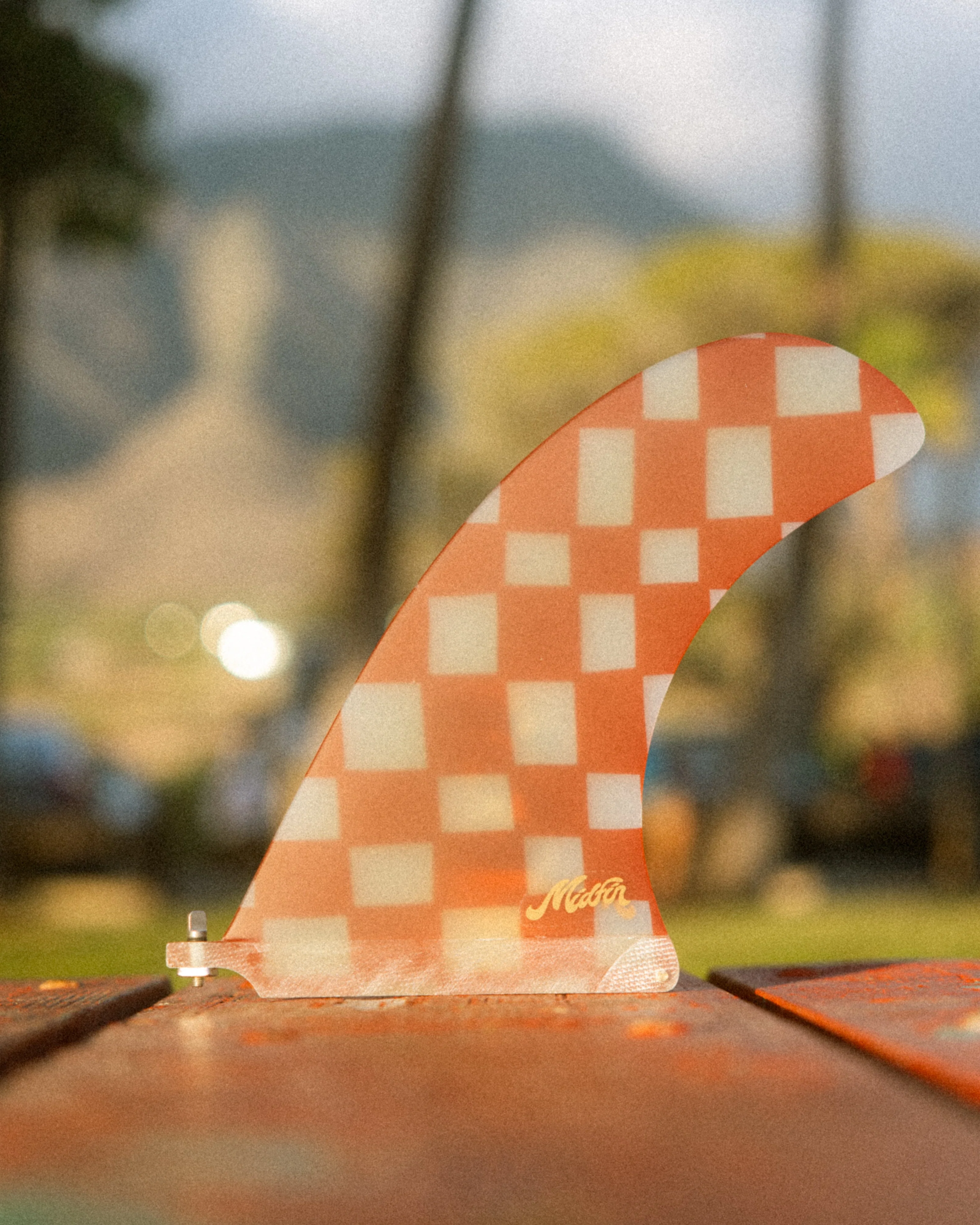 Sunday Picnic - Tracer - Image 3
